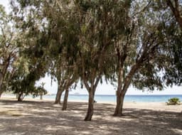 Appartement 1 slpk in Villajoyosa – foto 12