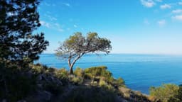 Appartement 1 slpk in Villajoyosa – foto 15
