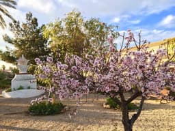 Villa 3 slpk in Los Urrutias – foto 31