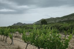Villa 6 slpk in Yecla – foto 32