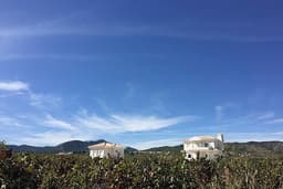 Villa 4 slpk in Pinoso – foto 22