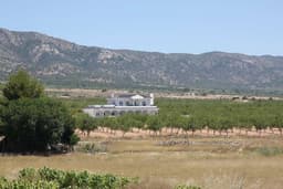 Villa 4 slpk in Pinoso – foto 15