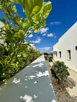 Villa 3 slpk in Benijofar – foto 6
