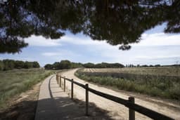 Bungalow 2 slpk in Torrevieja – foto 5