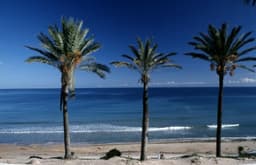 Bungalow 3 slpk in Pilar de la Horadada – foto 9