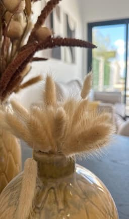 Bungalow 2 slpk in San Fulgencio – foto 4
