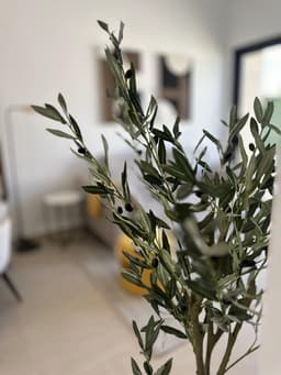 Bungalow 3 slpk in San Fulgencio – foto 16