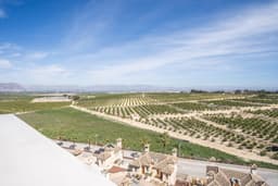 Villa 6 slpk in Algorfa – foto 25