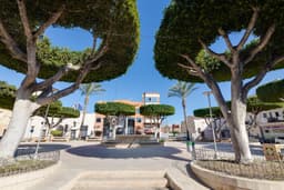 Appartement 1 slpk in San Fulgencio – foto 29