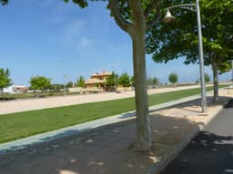 Bungalow 2 slpk in Pilar de la Horadada – foto 2