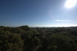 Penthouse 3 slpk in Guardamar del Segura – foto 14