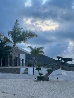 Villa 3 slpk in Pinoso – foto 25